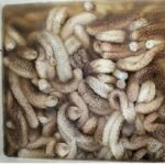 தேர்தலில் ஊடக ஆக்கிரமிப்பு உண்மை தானோ?