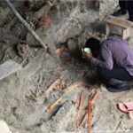 அமெரிக்காவில் ட்ரம்ப் ஜனாதிபதியானதால் பங்குகள், டொலரின் பெறுமதி உயர்ந்துள்ளது