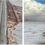 இன்றைய ராசிபலன். (09-11-2024)