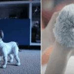 சீன புத்தாண்டு கொண்டாட்டத்தை அமர்களப்படுத்தினார் ஹரினி